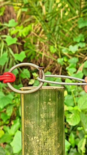 Easy Rope and Ring Knot Technique ✅🙏 #shorts #lifehacks #viral