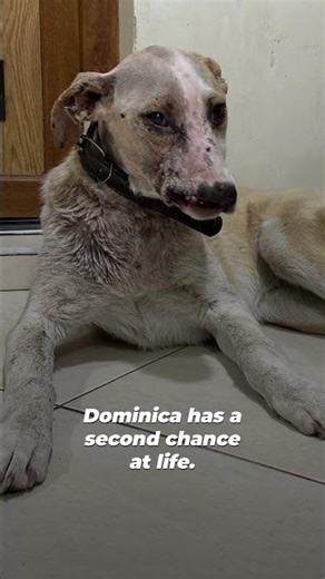 She was facing death and needed immediate lifesaving care ❤️‍🩹