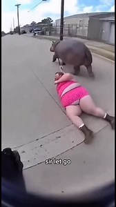 HappyPetArt on Instagram: "Cop Chases Hippo Dragging Man in Pink Dress 😂 #Reels #Bodycam #Funny Police bodycam captures the WILDEST chase ever! Officer runs after a hippo that’s dragging a redneck man in a tight pink dress across concrete. The man refuses to let go of the leash screaming “I caught him, he’s all mine!” while the cop desperately calls for backup. You won’t believe what happens next! 🦛👮‍♂️ 🎨 Turn YOUR pet’s funniest moments into custom artwork: www.happypetart.com I made this v