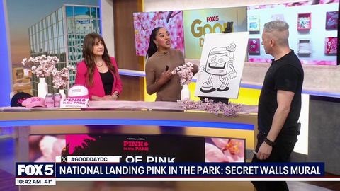 Pink in the Park: Secret Walls Mural Demo | Haystack News
