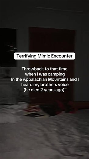 Terrifying Mimic Encounter #appalachia #appalachianmountains #skinwalker #mimic #paranormal