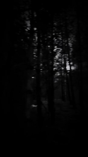 Dark vibes 🥀🎧 #aesthetic #nature #vibes #dark #forest #real #edit #calm #song #relax #fyp #foryou #foryoupage #paratiiiiiiiiiiiiiiiiiiiiiiiiiiiiiii