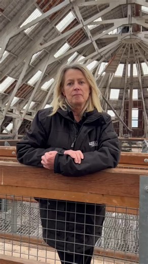 67K views · 1K reactions | Not even Bond can escape the ghosts of the Historic Dockyard.  Hear most ghostly tales on one of our Ghost Tours and discover true accounts of historic deaths alongside spine-tingling stories told by Dockyard workers through the years. Join us if you dare: https://thedockyard.co.uk/events/dockyard-after-dark-ghost-tour/ | Historic Dockyard Chatham | Facebook