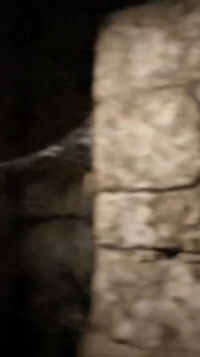 2.5M views · 38K reactions | #treasurehunt #treasure #treasurehunting #foryou #metaldetecting #supertreasurehunt #history #metaldetectingfinds #metaldetector #treasurehunter #coins #detecting #gold #adventure #metal #hobbydetecting #coin #silver #diecastcollector #fyp #metalldetektor #archeology #romania #mexico #espagne | Bg treasure | Facebook