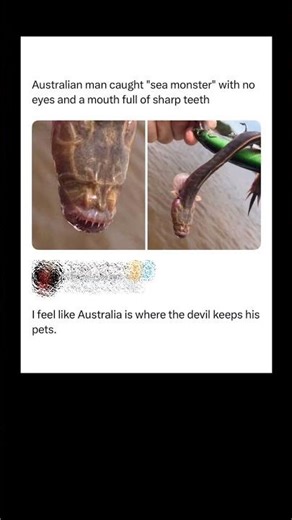 Australian Fisherman Catches “Sea Monster” 😳 Creature Has NO Eyes & Razor Teeth