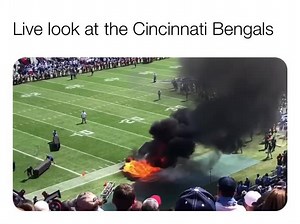 5.5K views · 45 reactions | The Bengals getting killed  | NFL hate memes | Facebook