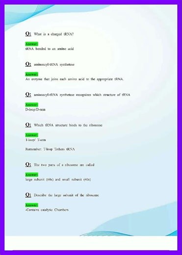 BIOL 1107 EXAM 4 PRINCIPLES OF BIOLOGY I LATEST 2026 2027 UPDATE REVIEW 100 VERIFIED QUESTIONS AND A