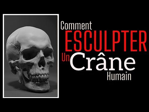 Comment sculpter un crâne, tutoriel, sculpture en pâte à modeler.