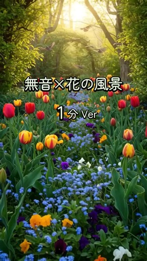 そっと咲く花に、心がふわり 1分だけ、癒しの時間を #癒しの花 #無音風景 #優しい時間 #花のある暮らし #癒されたい