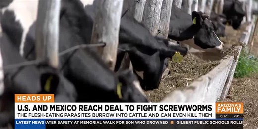 US teams up with Mexican government to stop invasion of flesh-eating parasite