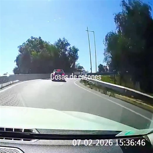 Cosas de ratones #ratatouille | Diario de Los Altos