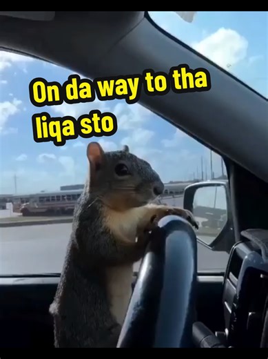 Monica GridSquares on TikTok