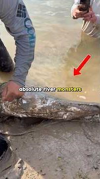 Catching A River MONSTER With Big Baits 🎣