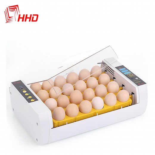 [Hot Item] Hhd Automatic Egg-Turning Mini 24 Quail/Chicken Eggs Incubator