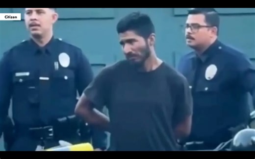 ICE Confirms Man Who Started 2025 LA Blaze, Got Tackled And Stopped By Crowd Was Illegal Alien - The American Tribune.com