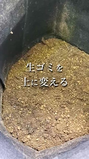生ごみを土に変える微生物資材がすごかった！コンポストで堆肥作り ＃コンポスト ＃微生物 ＃堆肥 ＃カルスNCR ＃土作り ＃ガーデニング #...