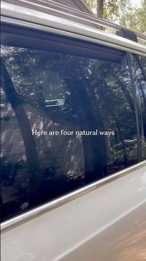 Natural Ways to Deodorize a Used Car