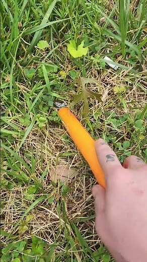 Garrett Pro Pinpointer AT