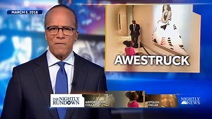 449K views · 4.3K reactions | The painting of Michelle Obama at the National Portrait Gallery stopped young Parker Curry in her tracks, and a photo of her amazement quickly went viral. Now Parker and her mom penned a children’s book to inspire other kids to see endless possibilities. MORE: https://nbcnews.to/2VHHSgE | NBC Nightly News with Tom Llamas | Facebook