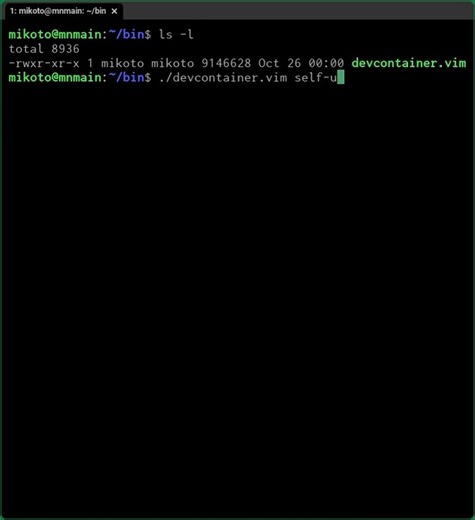 devcontainer.vim 機能追加報告 - セルフアップデートができるようになりました