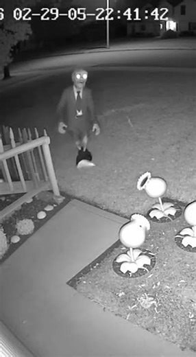 Zombie Tries to Enter backyard Plant Stops It on CCTV #cctv