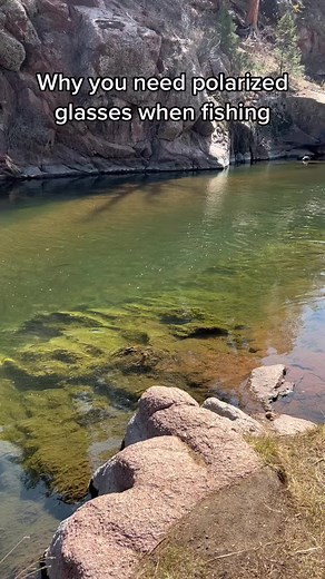 Absolutely Essential. #coloradoflyfishing #flyfishingnation #deckerscolorado #southplatteriver #rainbowtrout #letemgoletemgrow #rivermonsters #fyp