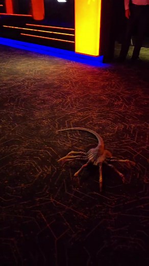 Cute Facehuggers in Alien: Romulus - Watch Now