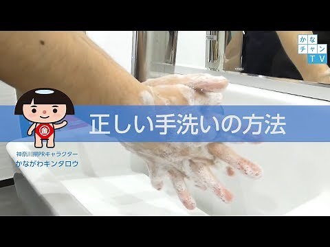 正しい手洗いの方法 解説動画