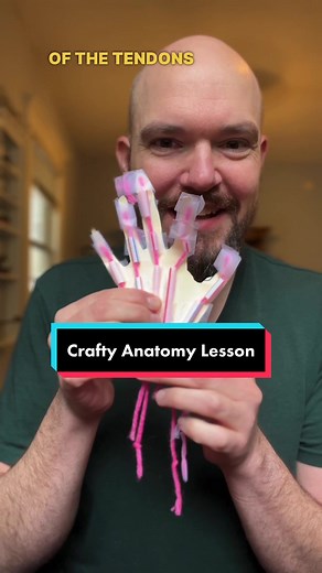 Engaging Arts & Crafts Anatomy Project for Kids