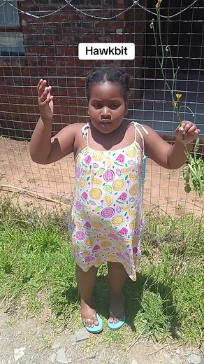 Dr Dumakude (@dr.dumakude)’s videos with original sound - Dr Dumakude