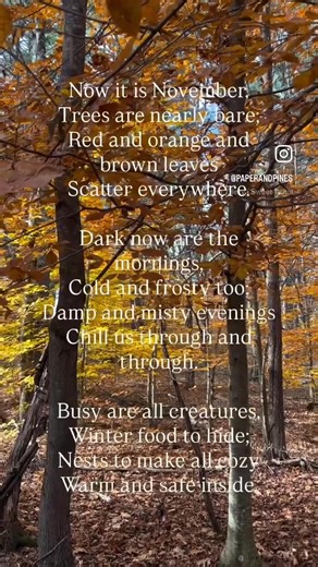 We memorize this poem by Margaret Morgan every November! It’s so sweet and simple, with the perfect rhythm and rhyme patterns for littles and older kids alike to easily remember. November is all about noticing the small wonders around us. Shorter days, crisp air, and watching the world change as winter creeps in all make the perfect backdrop for asking questions and discovering something new every day! #poetryforkids #readingactivities #iteachelementary #homeschool #homeschooling | Paper and Pin
