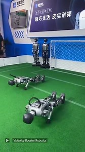 2.4K views · 33 reactions | Booster Robotics’ T1 shows its push-up skills Video Credit: Booster Robotics #engineering #technology #robotics #robots -------------------------------- Stay ahead of the curve! Follow us now on our WhatsApp (https://wevlv.co/wevolver-whatsapp) and Telegram (https://wevlv.co/3sJlFn5) channels and stay updated about the cutting edge. | Wevolver.com | Facebook