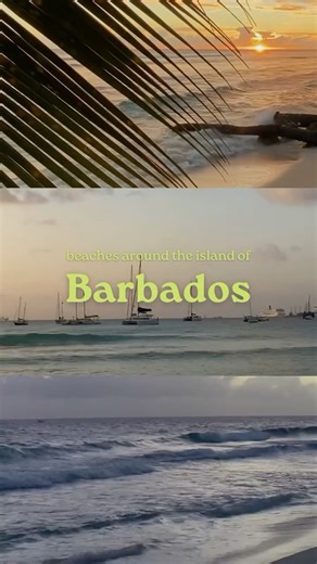 7.2K views · 167 reactions | Dive into the crystal-clear waters and...