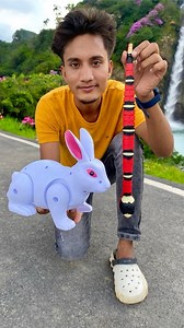 200K views · 4.3K reactions | Duita RC Snake and Remote wala Rabbit  #rcsnake #unboxing #rabbit #toys #viral #shorts #viralvideoシ | Badrul Shorts | Facebook