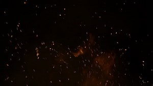 clip-1013988272-burning-ash-rise-large-fire-black-background