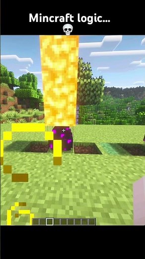 MIND-BLOWING Minecraft Logic💀