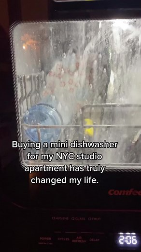 Mini Dishwasher for NYC Studio Apartment