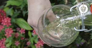 Make Your Own Honey Wine With Our New Mead Making Kit. | Craft a Brew