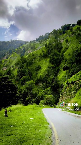 Exploring Jannat Waterfall in Khanspur, Ayubia, Nathiagali, Khyber Pakhtunkhwa, Pakistan