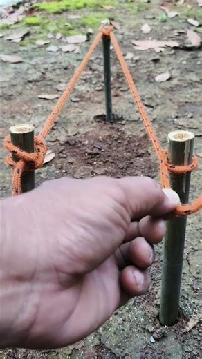 This Simple Rope knot Holds 100kg! Must Try!