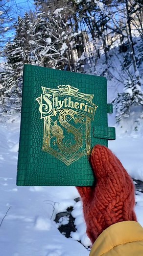 #слизерин#гаррипоттер#дракомалфой#harrypotter#slizerin#slizerin🐍#dracomalfoy#malfoy#malfoy🐍