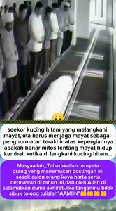 mito seekor kucing hitam melangkahi mayat akan hidup kembali 🥺 | Yumniati