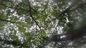 251 reactions · 12 shares | Any guesses who's snuffling our camera? Tune into Springwatch tonight at 8pm on BBC Two to find out! Unsprung at 9pm on Red Button followed by live cameras into the night... | BBC Springwatch | Facebook