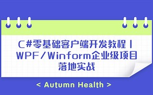 2022全新C#零基础客户端开发教程｜WPF/Winform企业级项目落地实战 B0652