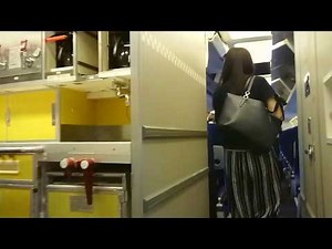 ANAボーイング767-300機内