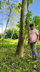 159K views · 529 reactions | funny magic tree loop #funny #magic #loop | Krishna Vfx | Facebook