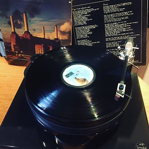 Pink Floyd 'Animals': The Story 40 Years Later - Classic Album Sundays