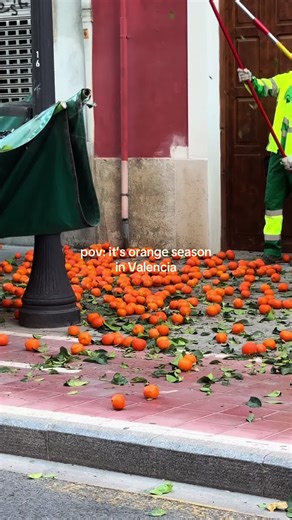 Fietstour door het oranje Valencia