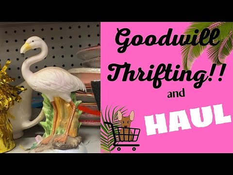 Goodwill Thrifting + HAUL!! First Video in 2021+ Home Decor and More!