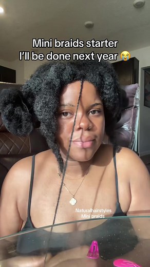 Mini Braids Starter: Natural Hairstyles & Protective Styles Guide